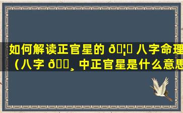 如何解读正官星的 🦍 八字命理（八字 🕸 中正官星是什么意思）